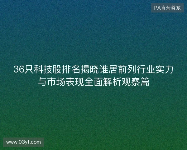 36只科技股排名揭晓谁居前列行业实力与市场表现全面解析观察篇 36只科技股排名揭晓谁居前列行业实力与市场表现全面解析观察篇